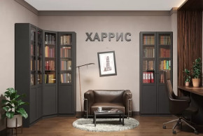 Библиотека Харрис в Ханты-Мансийске - hanty-mansijsk.mebel-tymen.ru | фото