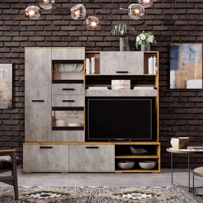 Гостиная Трамп ЦС-05 в Ханты-Мансийске - hanty-mansijsk.mebel-tymen.ru | фото