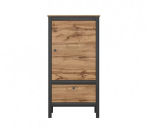 LOFT шкаф REG1D1S/60 (Дуб вотан/Черный) в Ханты-Мансийске - hanty-mansijsk.mebel-tymen.ru | фото