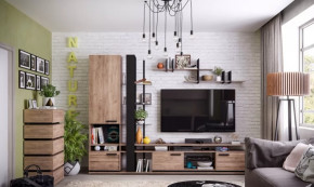 Модульная гостиная Nature в Ханты-Мансийске - hanty-mansijsk.mebel-tymen.ru | фото