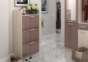 Обувница №2 Дели в Ханты-Мансийске - hanty-mansijsk.mebel-tymen.ru | фото