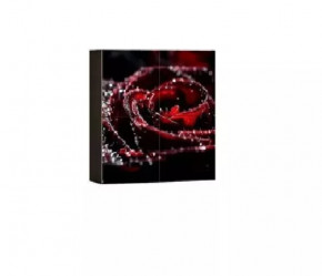 Шкаф навесной Киото 904 К (фотопечать) в Ханты-Мансийске - hanty-mansijsk.mebel-tymen.ru | фото