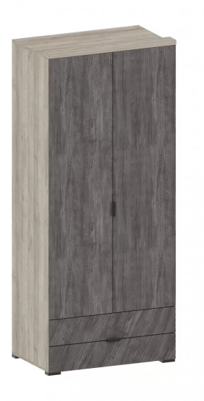 Шкаф Шаде ШК-2905 в Ханты-Мансийске - hanty-mansijsk.mebel-tymen.ru | фото