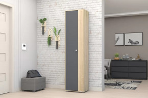 Шкаф ШК-01 Монако в Ханты-Мансийске - hanty-mansijsk.mebel-tymen.ru | фото