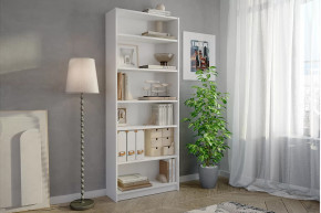 Стеллаж Бильд в Ханты-Мансийске - hanty-mansijsk.mebel-tymen.ru | фото