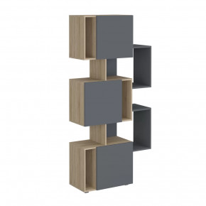 Стеллаж Дублин в Ханты-Мансийске - hanty-mansijsk.mebel-tymen.ru | фото